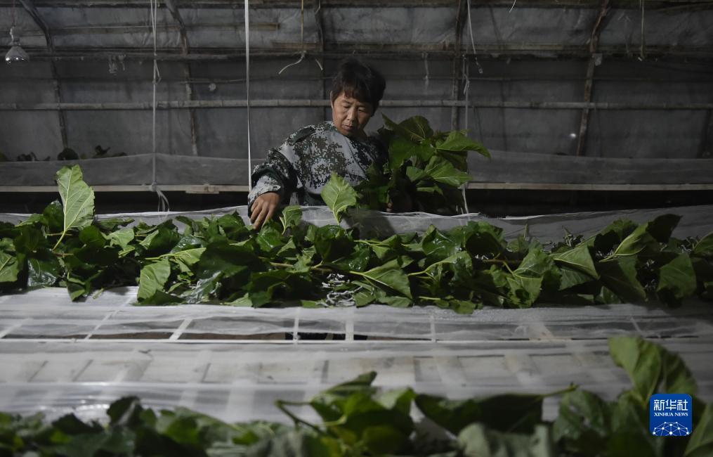 希尔顿电子游戏网站